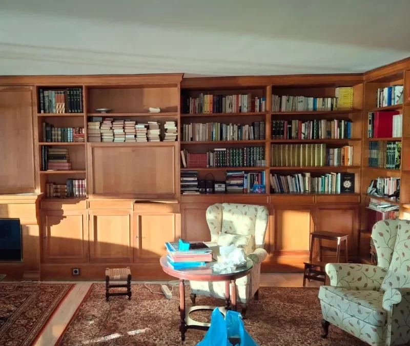 Lacados y Decoración JS