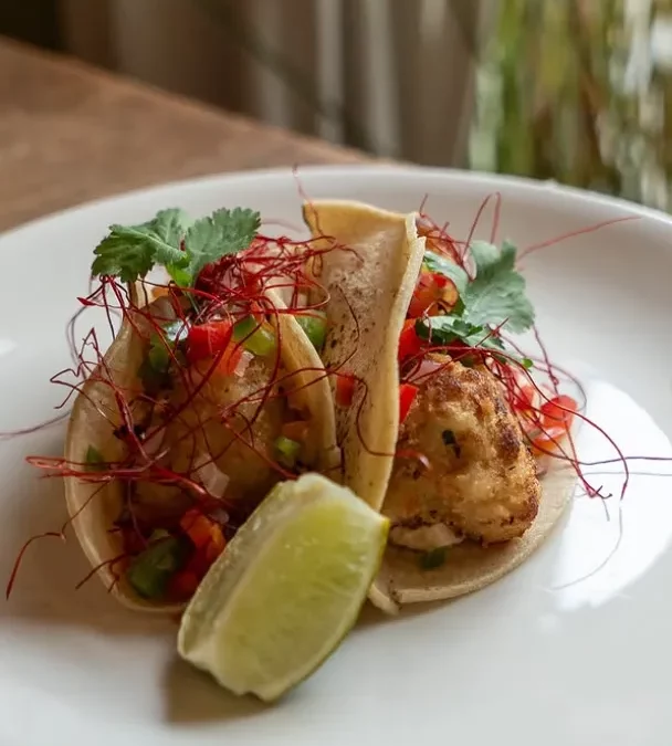 La Mujer de Verde. Cocina Vegana