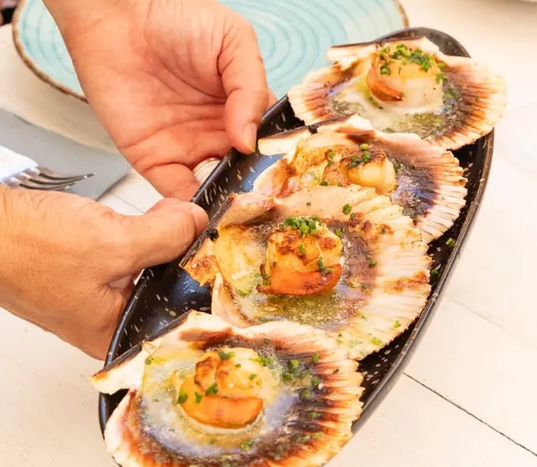 Restaurant Moll Port de Sóller