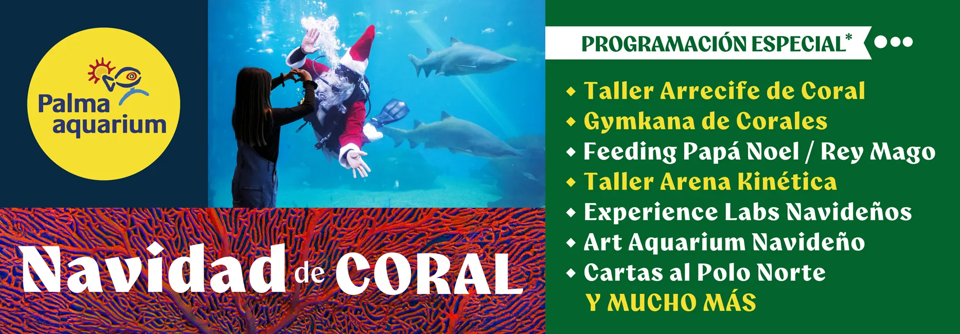 Actividades de Invierno - Palma Aquarium